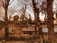 IMG_20240729_110727_519