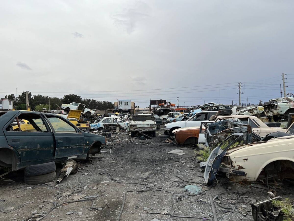 IMG_20240729_113428_056